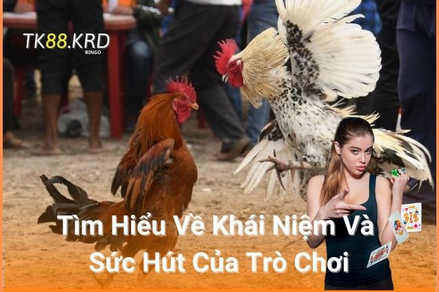 Tìm Hiểu Về Khái Niệm Và Sức Hút Của Trò Chơi