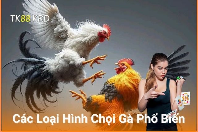 Các Loại Hình Chọi Gà Phổ Biến