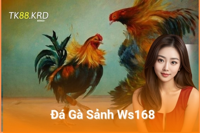 Đá gà sảnh Ws168